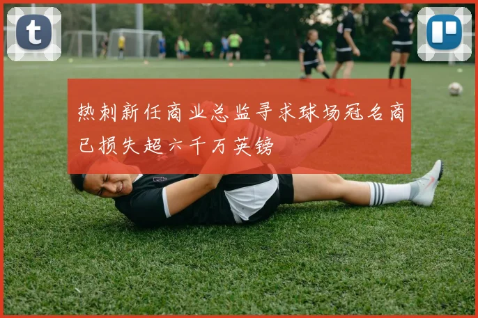热刺新任商业总监寻求球场冠名商已损失超六千万英镑