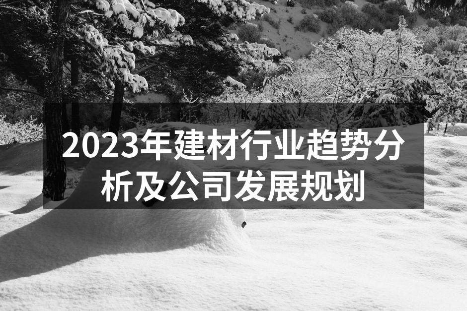2023年建材行业趋势分析及公司发展规划